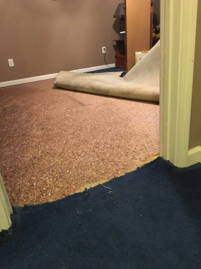 Carpet pad removal revealing water damage during Drying & Dehumidification in Cedarhurst
