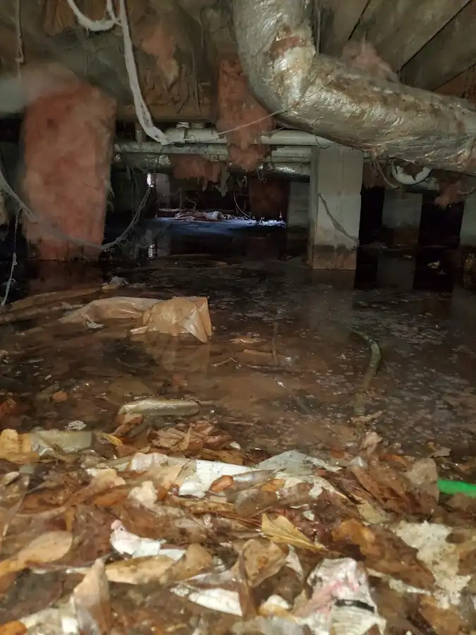 Crawl space flood assessment for Leak Detection & Repair in Cedarhurst