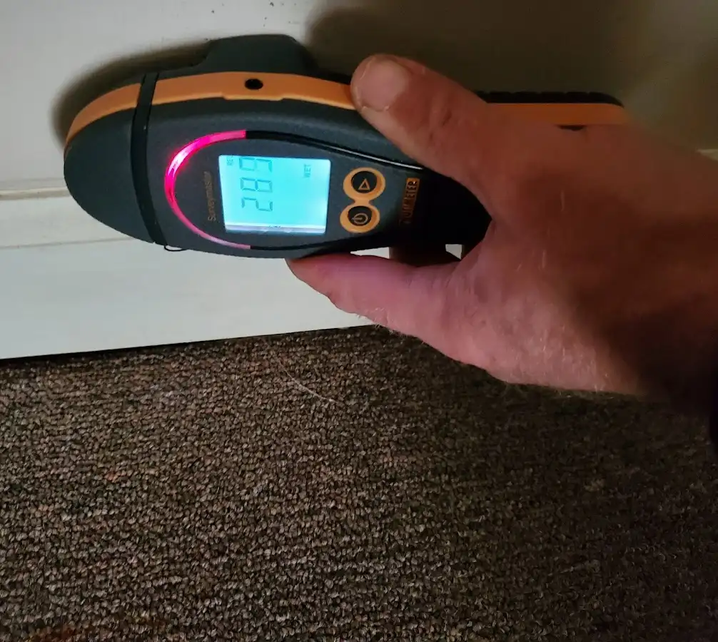 Moisture detection at baseboard during Sewage Cleanup & Sanitation in Cedarhurst